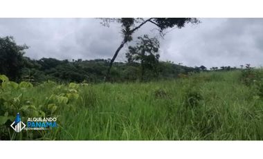 Atención agro inversionista! Vendo preciosa finca de 28 ha en Gualaca