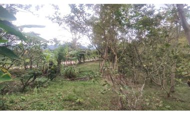Venta de finca de 5200 M2 en 399 mill en La Mesa Cund, Colombia