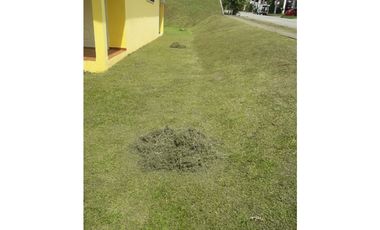 VENTA CASA BRISAS DE ARRAIJAN