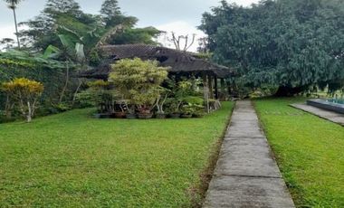 JUAL VILLA DEKAT TAMAN SAFARI BOGOR DILEWATI SUNGAI JERNIH + KOLAM RENANG + MATA AIR