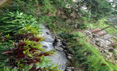JUAL VILLA DEKAT TAMAN SAFARI BOGOR DILEWATI SUNGAI JERNIH + KOLAM RENANG + MATA AIR