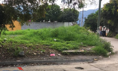 Terreno Renta Carretera Nacional