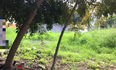 Terreno Renta Carretera Nacional