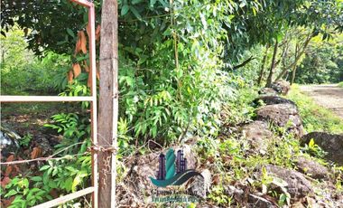 VENDO 11 HECTAREAS EN CALDERA