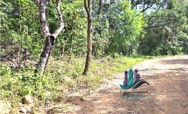 VENDO 11 HECTAREAS EN CALDERA