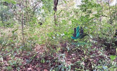 VENDO 11 HECTAREAS EN CALDERA