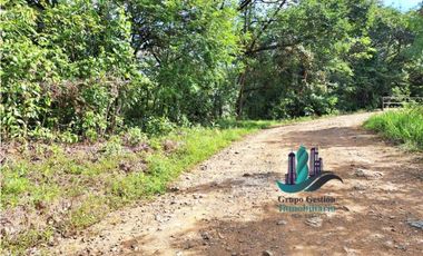 VENDO 11 HECTAREAS EN CALDERA