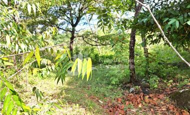 VENDO 11 HECTAREAS EN CALDERA