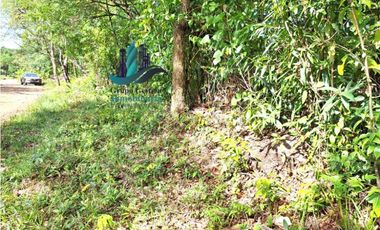 VENDO 11 HECTAREAS EN CALDERA