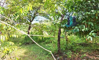 VENDO 11 HECTAREAS EN CALDERA