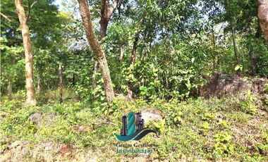 VENDO 11 HECTAREAS EN CALDERA