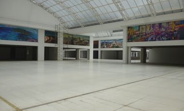 ARRIENDO de LOCALES en EL ROSAL
