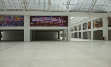 ARRIENDO de LOCALES en EL ROSAL