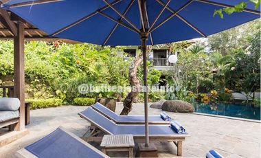 Nyambu Luxury Villa &ndash; Ricefield, Jungle and River views