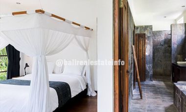 Nyambu Luxury Villa &ndash; Ricefield, Jungle and River views