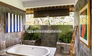 Nyambu Luxury Villa &ndash; Ricefield, Jungle and River views