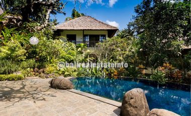 Nyambu Luxury Villa – Ricefield, Jungle and River views