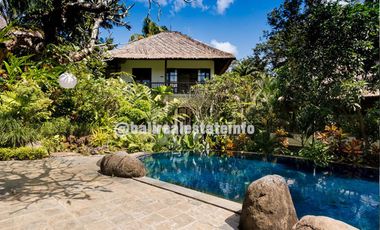 Nyambu Luxury Villa &ndash; Ricefield, Jungle and River views