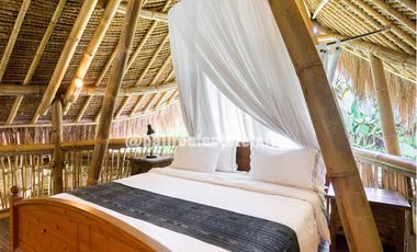 Nyambu Luxury Villa &ndash; Ricefield, Jungle and River views