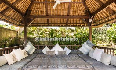 Nyambu Luxury Villa &ndash; Ricefield, Jungle and River views