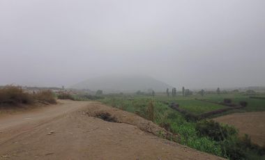 Terrenos Agricolas Venta Fundo Santa Monica - CHANCAY