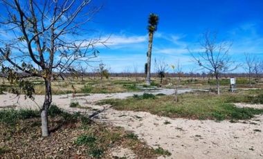 TERRENO EN VENTA EN PARRAS DE LA FUENTE, COAHUILA