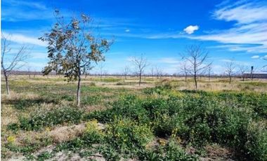 TERRENO EN VENTA EN PARRAS DE LA FUENTE, COAHUILA
