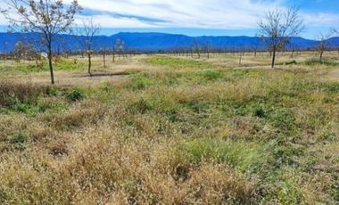 TERRENO EN VENTA EN PARRAS DE LA FUENTE, COAHUILA