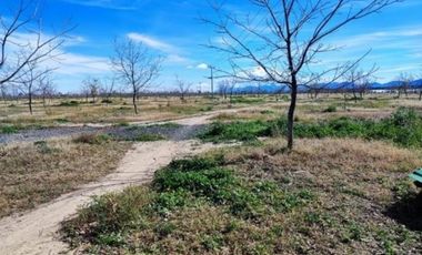 TERRENO EN VENTA EN PARRAS DE LA FUENTE, COAHUILA