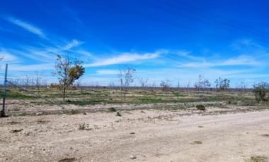 TERRENO EN VENTA EN PARRAS DE LA FUENTE, COAHUILA