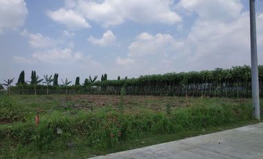 Land for sale