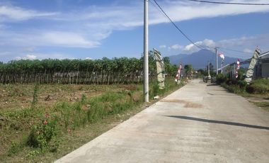 Land for sale