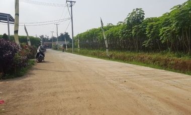Land for sale