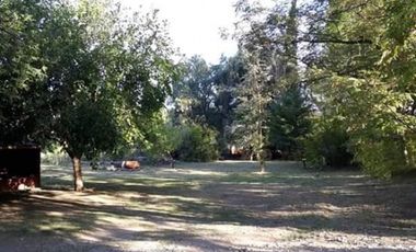 Vendo hermosa Finca zona Rama Caida de  5 hectÃ¡reas,  en producciÃ³n uva bonarda y mezcla  con tela antigranizo. Vista MontaÃ±a