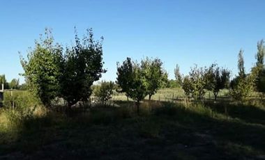 Vendo hermosa Finca zona Rama Caida de  5 hectÃ¡reas,  en producciÃ³n uva bonarda y mezcla  con tela antigranizo. Vista MontaÃ±a