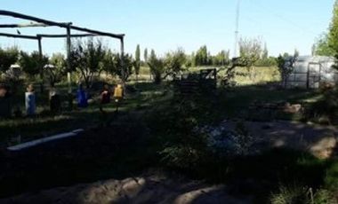 Vendo hermosa Finca zona Rama Caida de  5 hectÃ¡reas,  en producciÃ³n uva bonarda y mezcla  con tela antigranizo. Vista MontaÃ±a