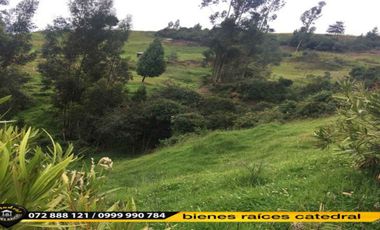 Terreno de venta en Valle - San Vicente – código:14826