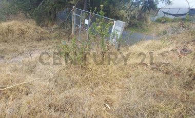 TERRENO VENTA SECTOR NAYON  21700m2