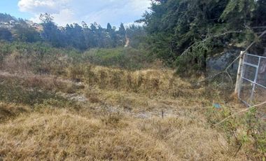 TERRENO VENTA SECTOR NAYON  21700m2