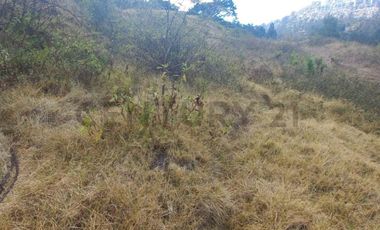 TERRENO VENTA SECTOR NAYON  21700m2
