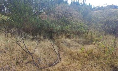 TERRENO VENTA SECTOR NAYON  21700m2