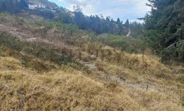 TERRENO VENTA SECTOR NAYON  21700m2