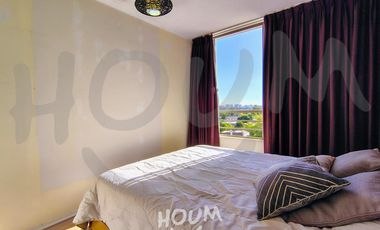 Departamento Haydn ID: 146885r