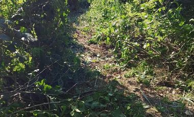 Terreno Campestre en Venta en El CHivato Colima