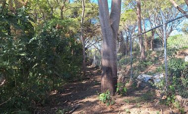 Terreno Campestre en Venta en El CHivato Colima