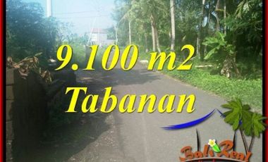View Sawah 9,100 m2 di Tabanan Kerambitan
