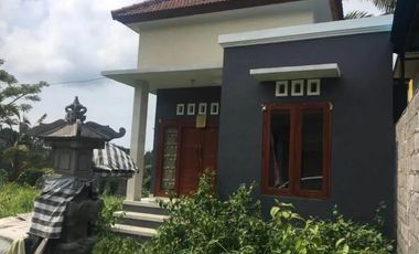 Rumah Sangat Murah Kawasan Sambangan Buleleng