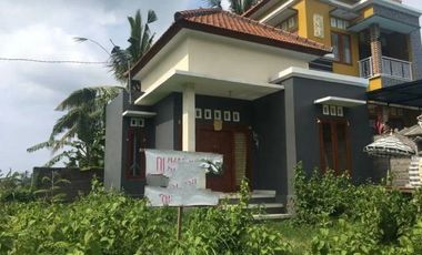 Rumah Sangat Murah Kawasan Sambangan Buleleng