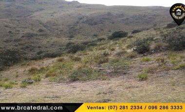 Terreno de venta en Trinidad Molleturo – código:17934