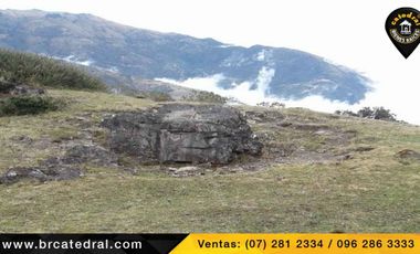Terreno de venta en Trinidad Molleturo – código:17934
